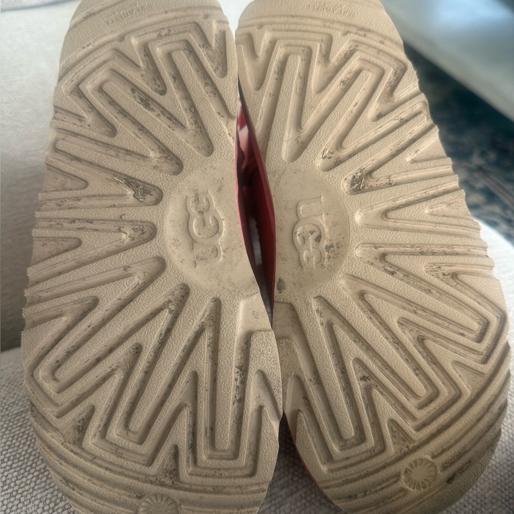 Bailey Bow - image 7